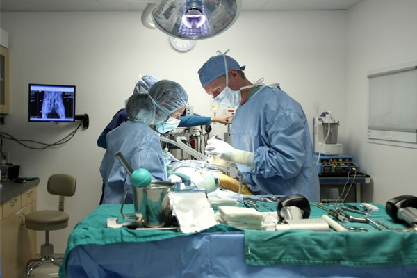 O Hospital Veterinário Itaquera conta com centro cirúrgico e equipamentos de última geração, a fim de obter o melhor resultado durante o procedimento cirúrgico veterinário e oferecer maior segurança para o animal.